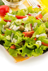 salad in plate on white