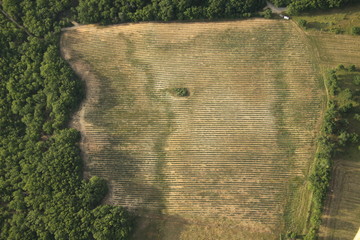 champ vue du ciel