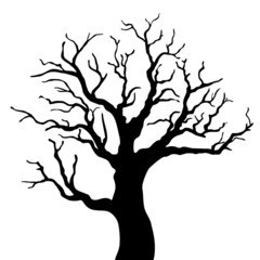 Tree silhouette with leaves on white background. - 67002149