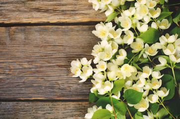 Jasmine flowers