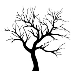 Tree silhouettes - 67002702