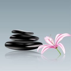 Spa stones and lily flower. Vector illustration