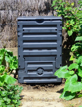 composteur noir, compost dans le potager