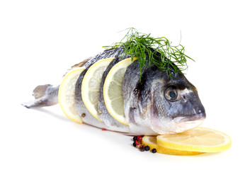 Fresh dorado with lemon on white background