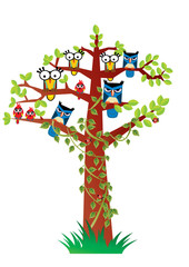 ptaki na drzewie