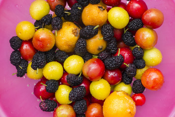 Collection of colorful, fresh fruit