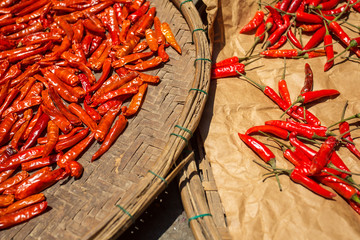 Red chilli pepper drying in the sun