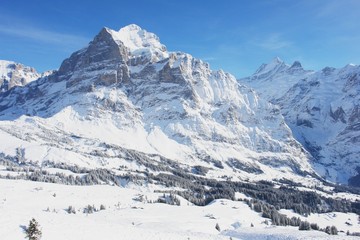 Fototapeta na wymiar Grindelwald, winter scenery, Swiss Alps