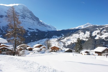 Fototapeta na wymiar Grindelwald, view of the Mount Eiger