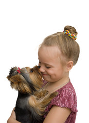 girl hug a little Yorkshire Terrier puppy. isolated on white