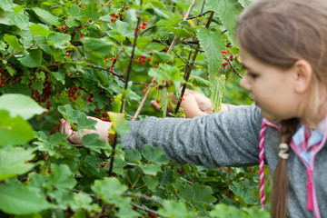 Children in the garden