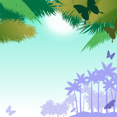 Vector background with butterflies and palms
