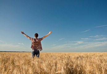 Fototapeta na wymiar young man in the wheat field
