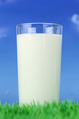 Frische Milch im Glas auf einer Wiese