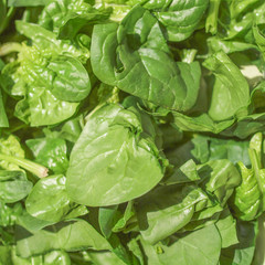 Spinach leaves