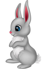 Cute rabbit cartoon