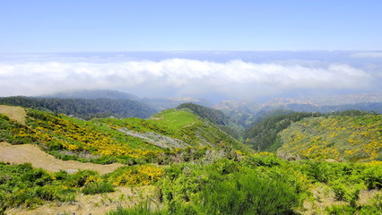Naklejka premium Weitblick über den Wolken
