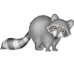 Cute raccoon cartoon