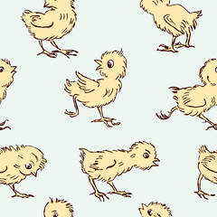 pattern of  chickens
