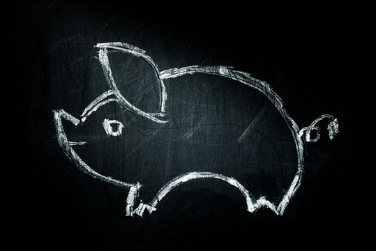 pig on a blackboard