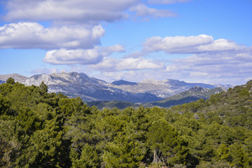 Sierra de Arana