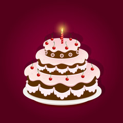 Birthday cake with candle