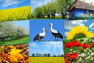 Fototapeta premium beauty of Poland-collage