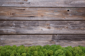 Rustikaler Holz Hintergrund alt - weihnachtlich mit Moos