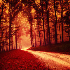 Fototapeta premium Red colored fantasy forest