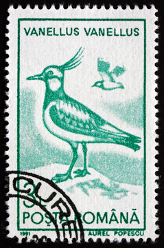 Postage stamp Romania 1991 Northern Lapwing, Bird