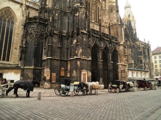Naklejka na ściany i meble Horse Carriages Vienna