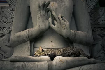 Cercles muraux Bouddha Tranquillité