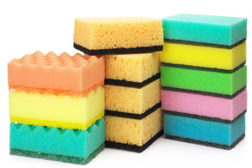 Assorted sponges
