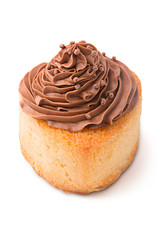 Sponge cake with chocolate creame isolated on white background..