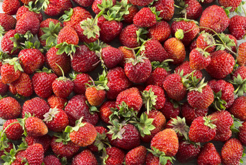 Background with ripe strawberries