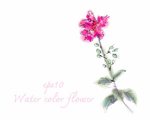 Obraz na płótnie Canvas Water color flower on white background