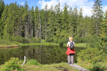 Fototapeta premium Schwarze Lacke