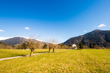 Fototapeta premium church in the meadows of Alps