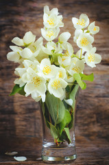 Jasmine flowers