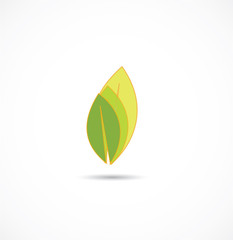 leaf icon vector