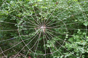 spider's Web woven with synthetic yarns in green forest full of