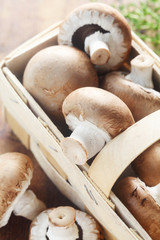 Mushrooms