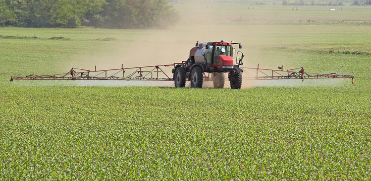 Spraying a Corn Field