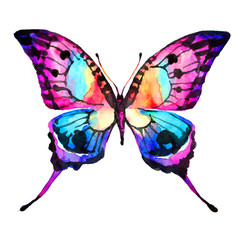 butterflies design