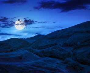 trees near valley in mountains  on hillside at night