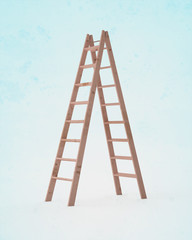 Ladder