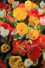 Tulip bouquet
