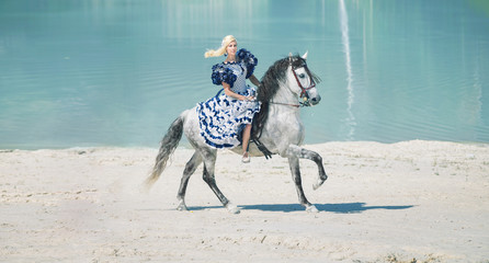 Pretty elegant lady on the horse