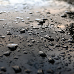 Water drops