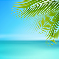 Strand mit Palmenblätter